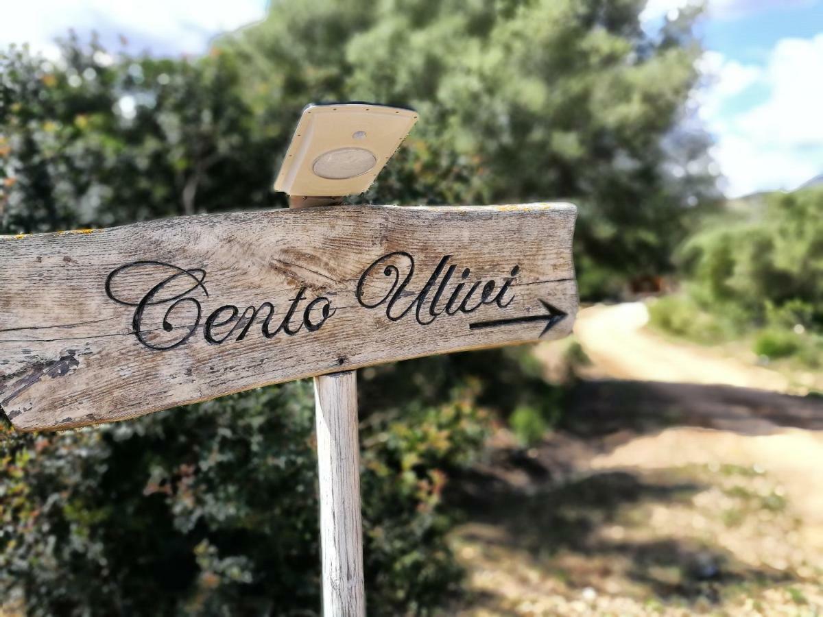 Cento Ulivi B&B Golfo Aranci Ngoại thất bức ảnh